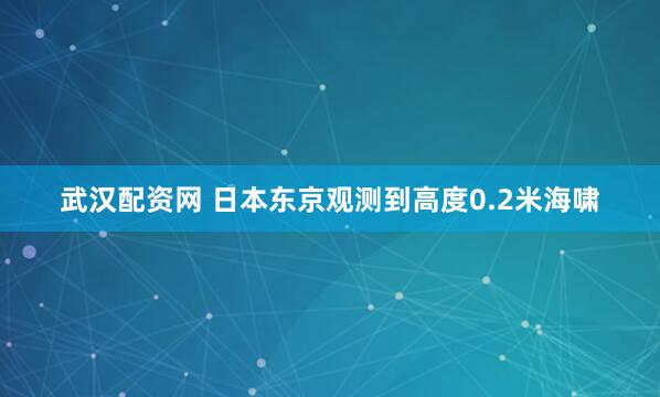 武汉配资网 日本东京观测到高度0.2米海啸