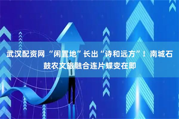 武汉配资网 “闲置地”长出“诗和远方”！南城石鼓农文旅融合连片蝶变在即